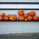 Illustration for article titled This Halloween, Take a Risk and Carve a God Damn Pumpkin